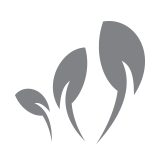 Three plant shoots icon to represent starting and growing a business