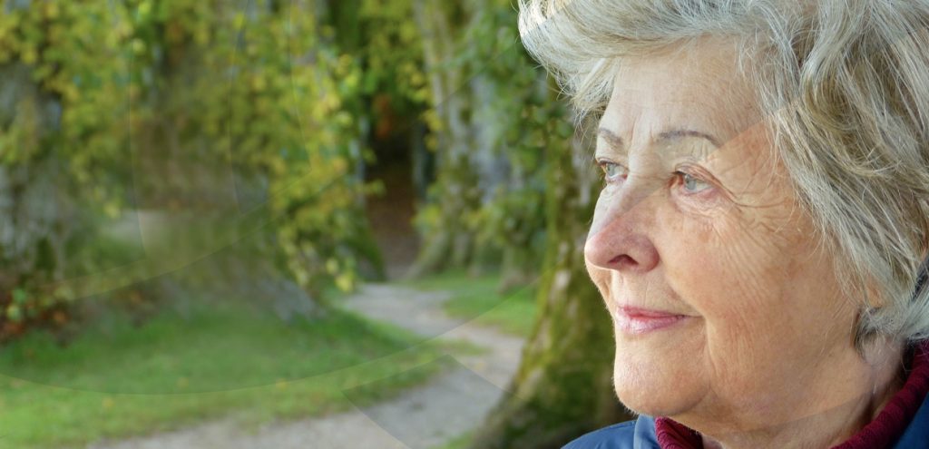 Close up of side profile of woman at retirement age to represent estate planning services